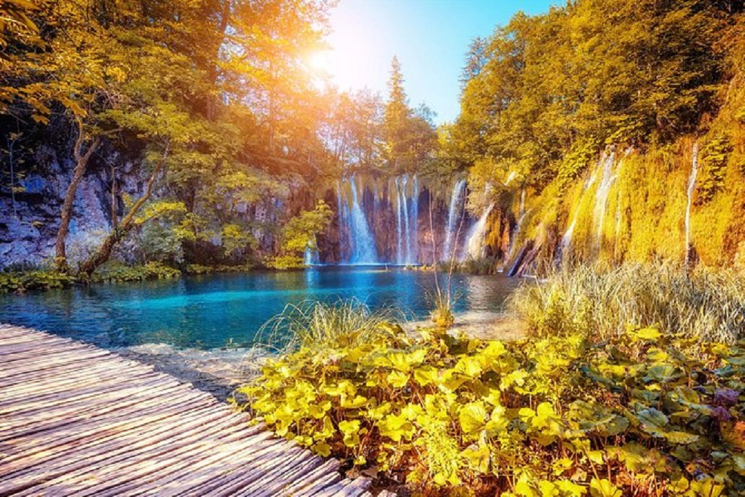 nature